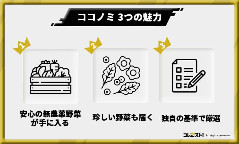 おすすめ食品サブスク
ココノミ　評判