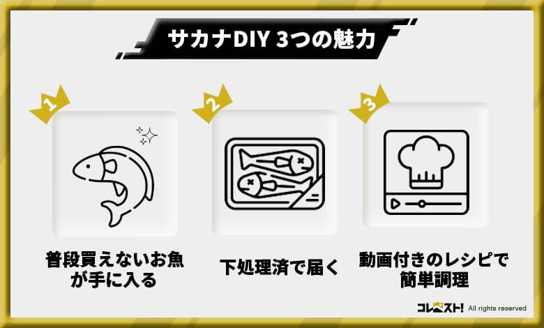 おすすめ食品サブスク
サカナDIY 評判