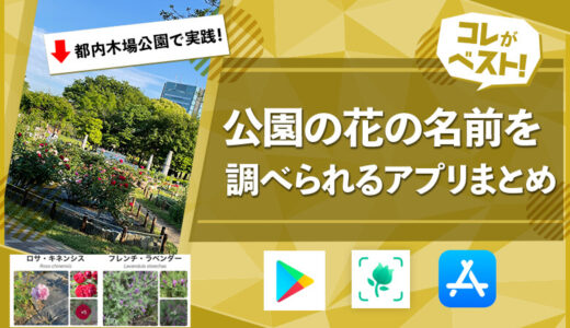 花の名前を調べるアプリ12選！植物にかざすだけで簡単【Androidも対応】